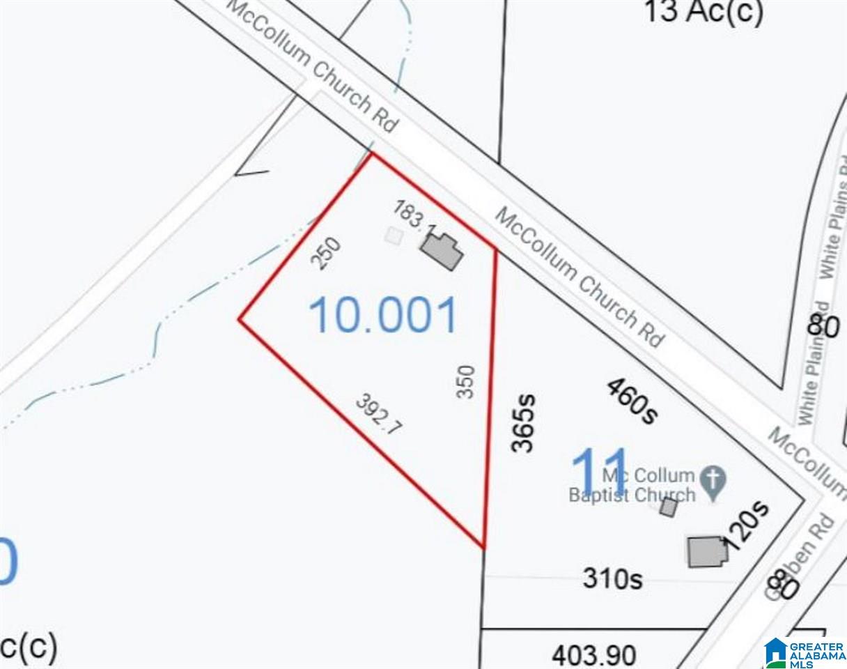 1100 McCollum Road Lineville, AL 36266 - Photo 15 of 16