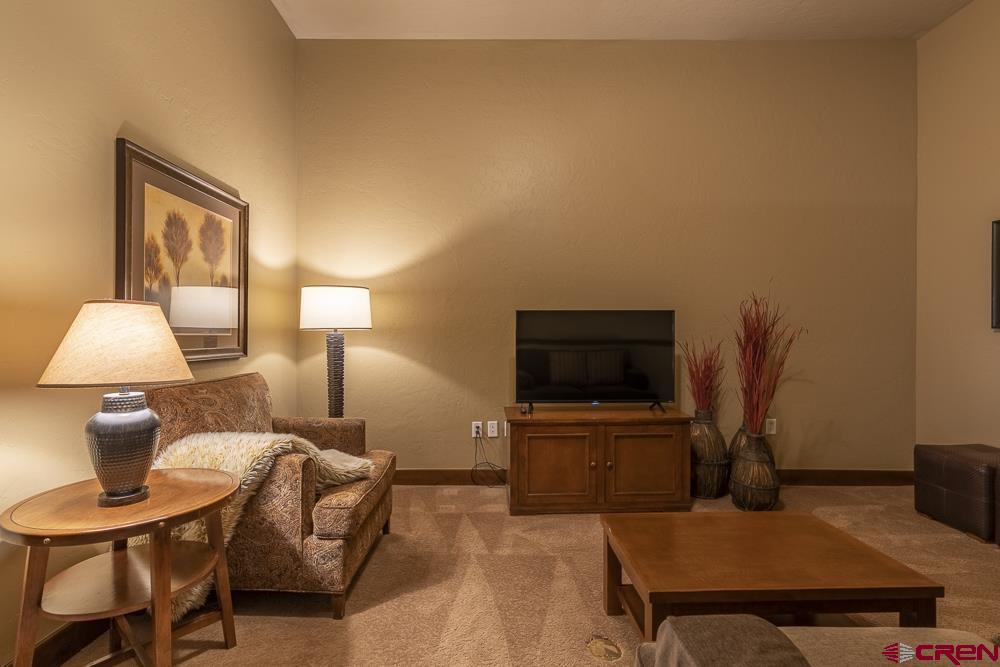 24 Sheol Street, Unit 508 R30 Durango, CO 81301 - Photo 13 of 25 Gallery Image 13
