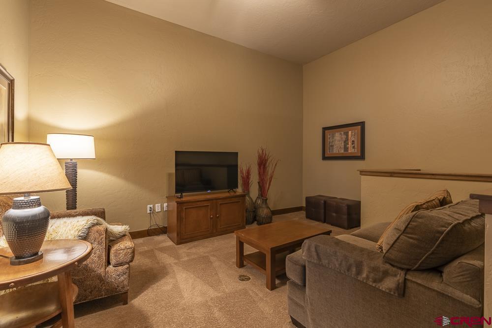 24 Sheol Street, Unit 508 R30 Durango, CO 81301 - Photo 14 of 25 Gallery Image 14