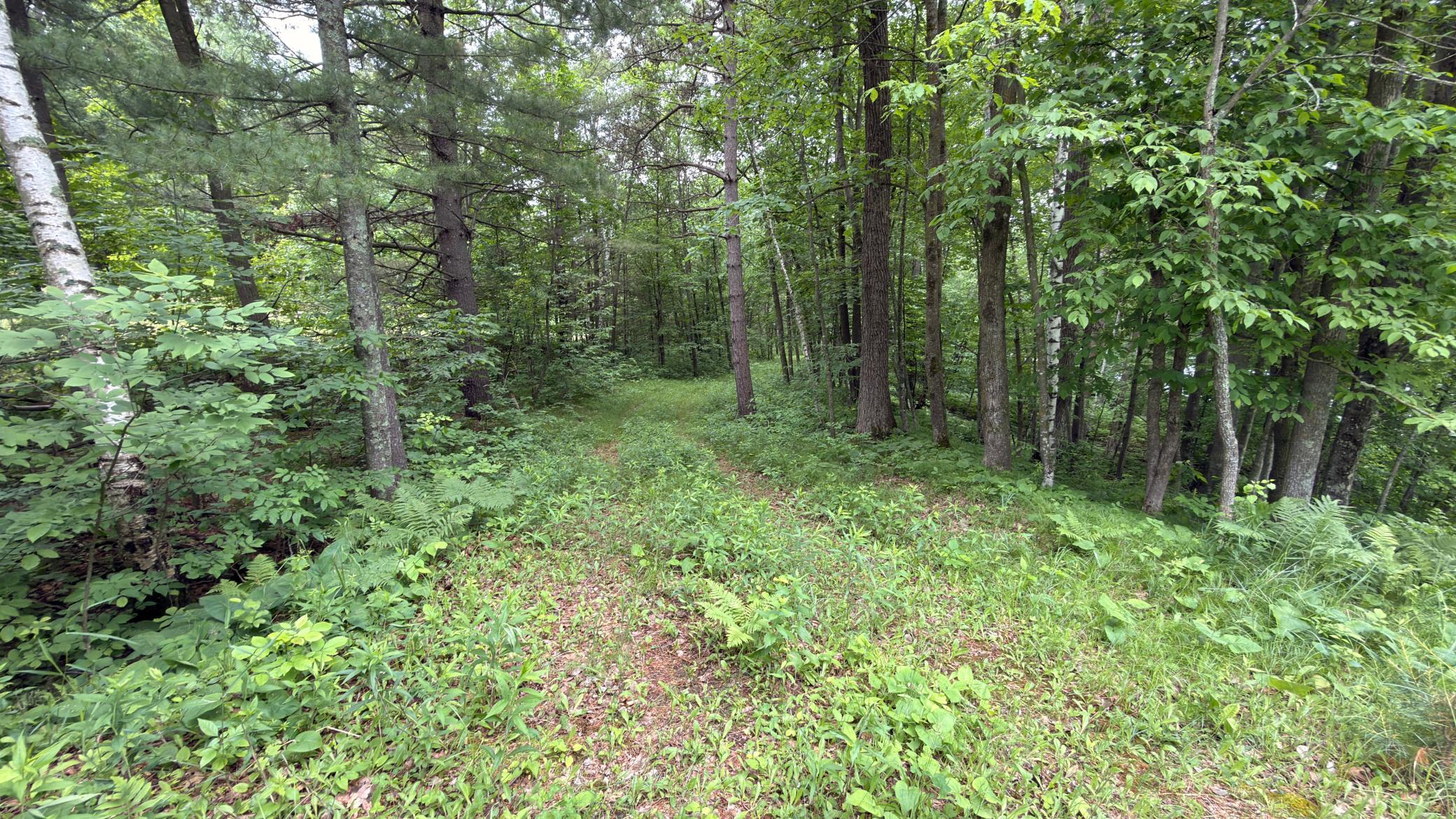 765 270th Cty Road Frederic, WI 54837 - Photo 4 of 17