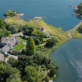 a view of a garden with plants