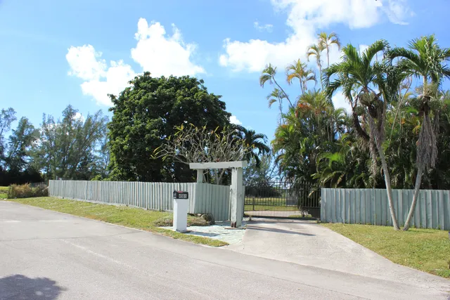 a view of a yard with plants and trees
