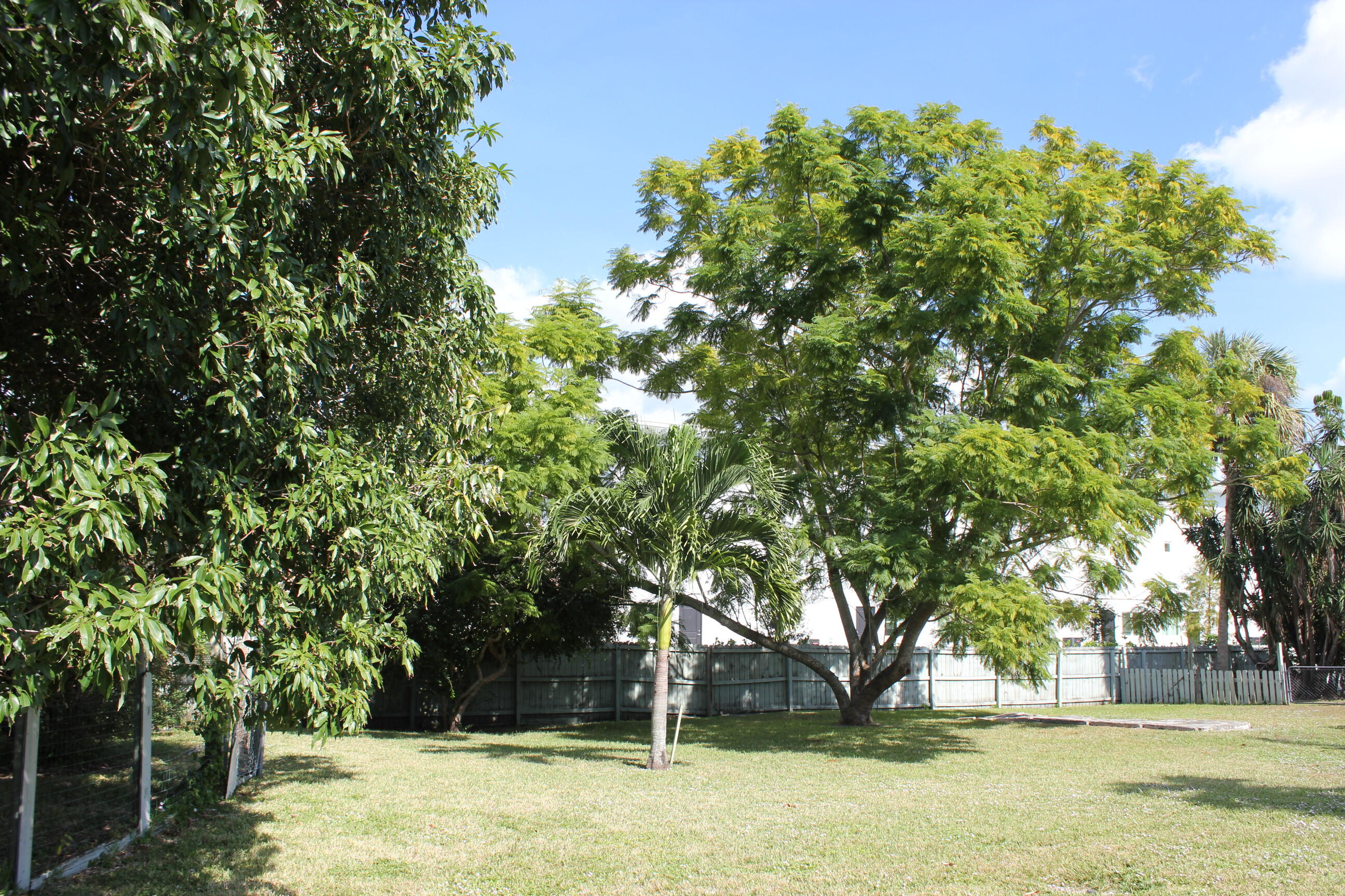 4981 Serafica Drive Lake Worth, FL 33461 - Photo 44 of 44 a view of a yard with a trees