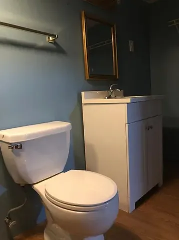 a view of a yard with a large tree