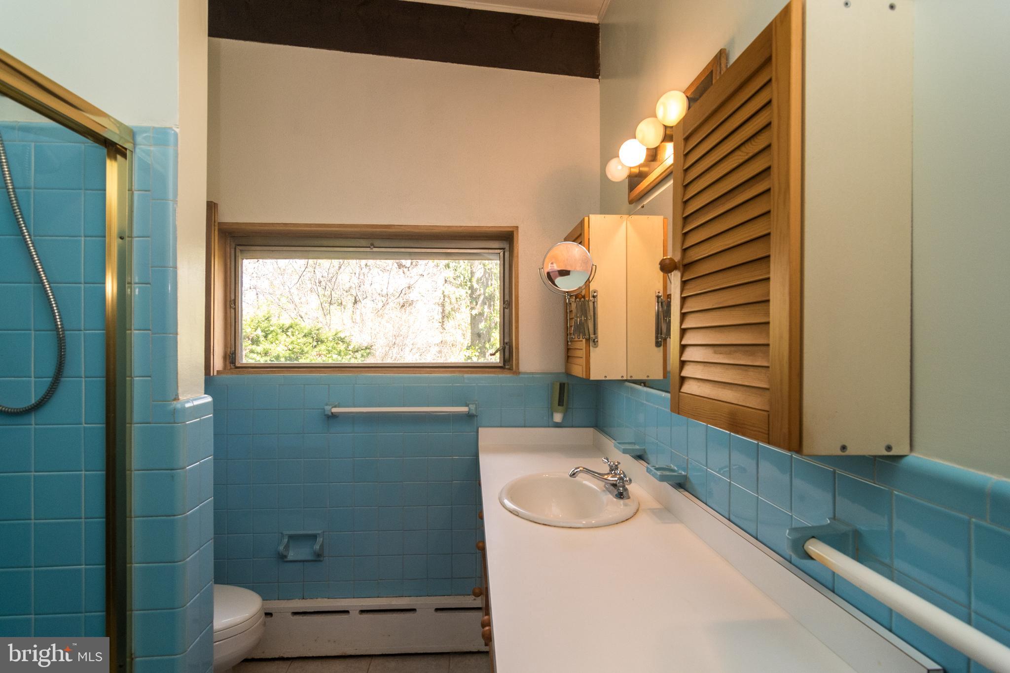 4453 Province Line Road Princeton, NJ 08540 - Photo 21 of 22 a bathroom with a sink toilet and shower
