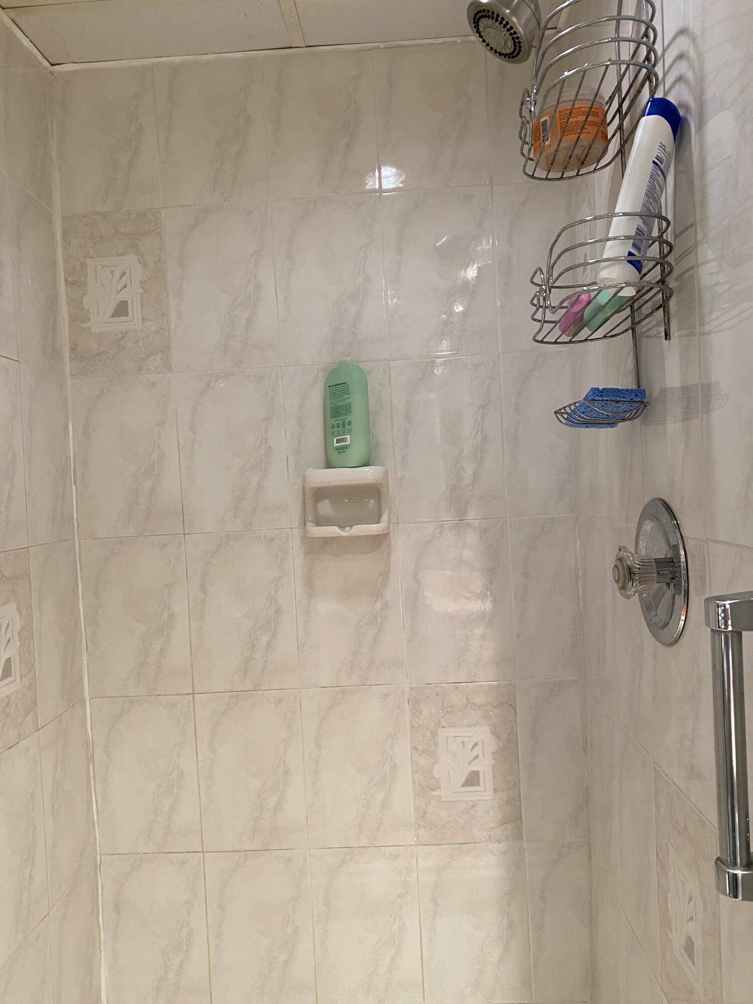415 Saxony Way, Unit 415 Delray Beach, FL 33446 - Photo 11 of 19 stand up shower
