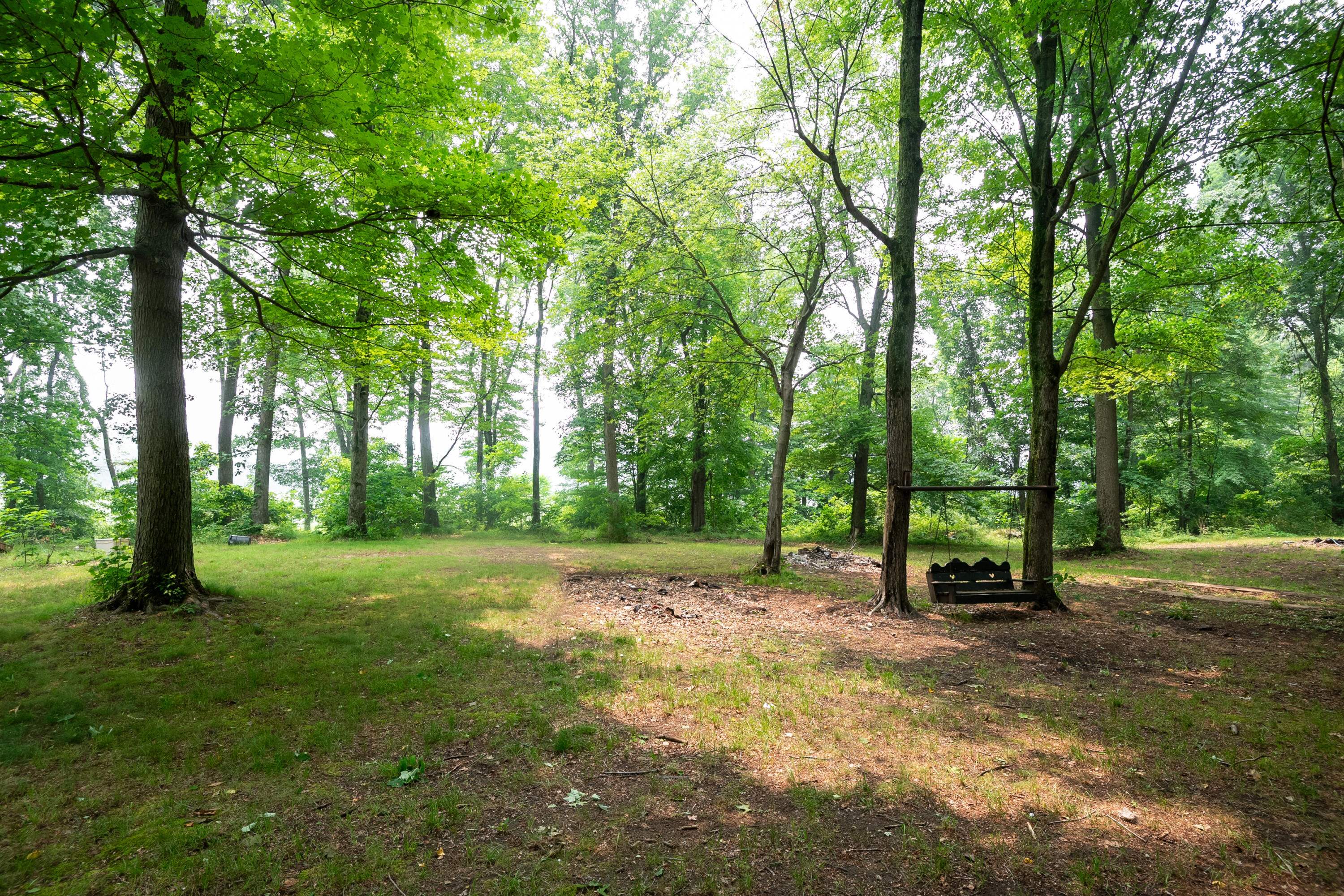 6456 Scherr Road Berrien Springs, MI 49103 - Photo 12 of 38 Site