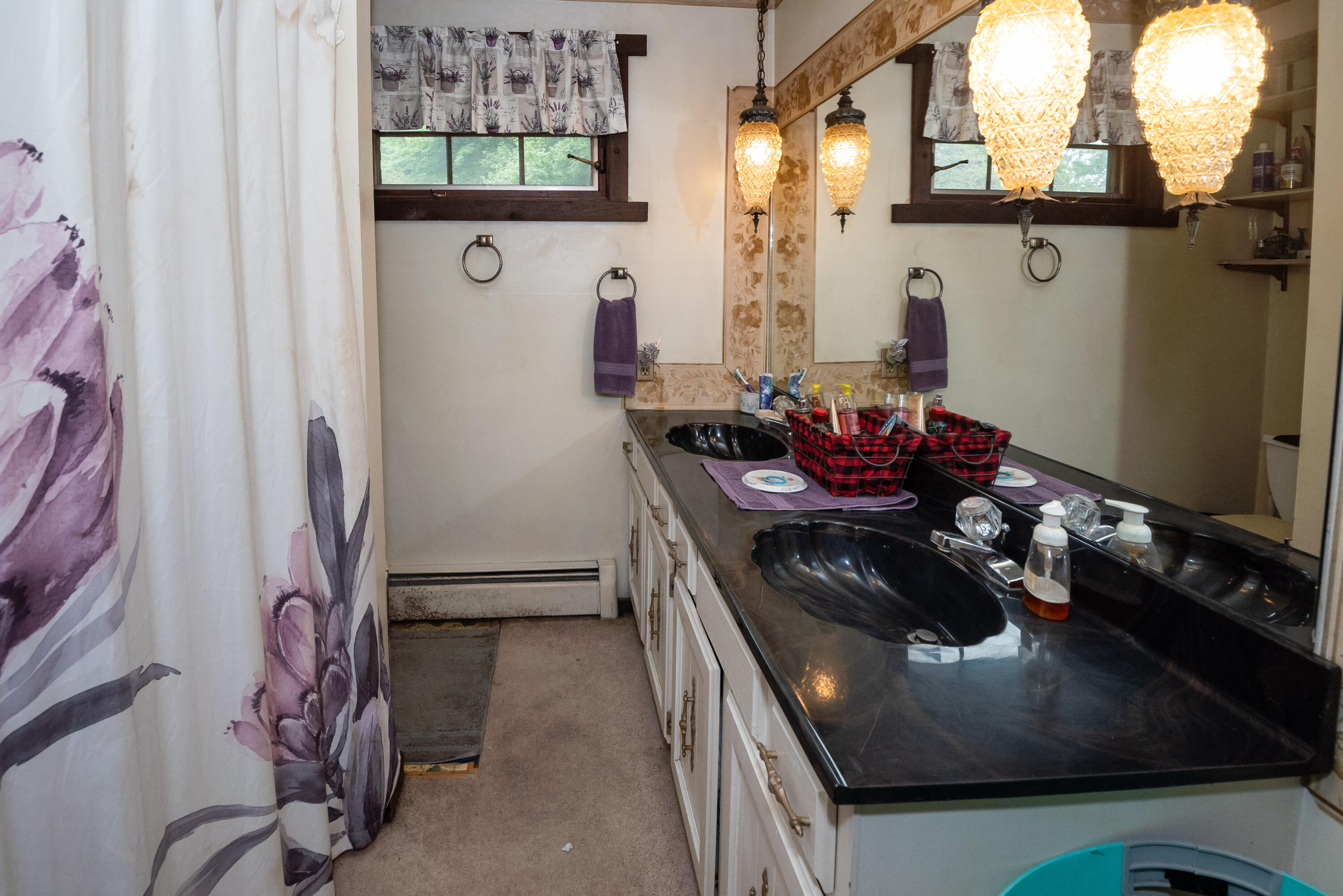 6456 Scherr Road Berrien Springs, MI 49103 - Photo 24 of 38 Full Bath