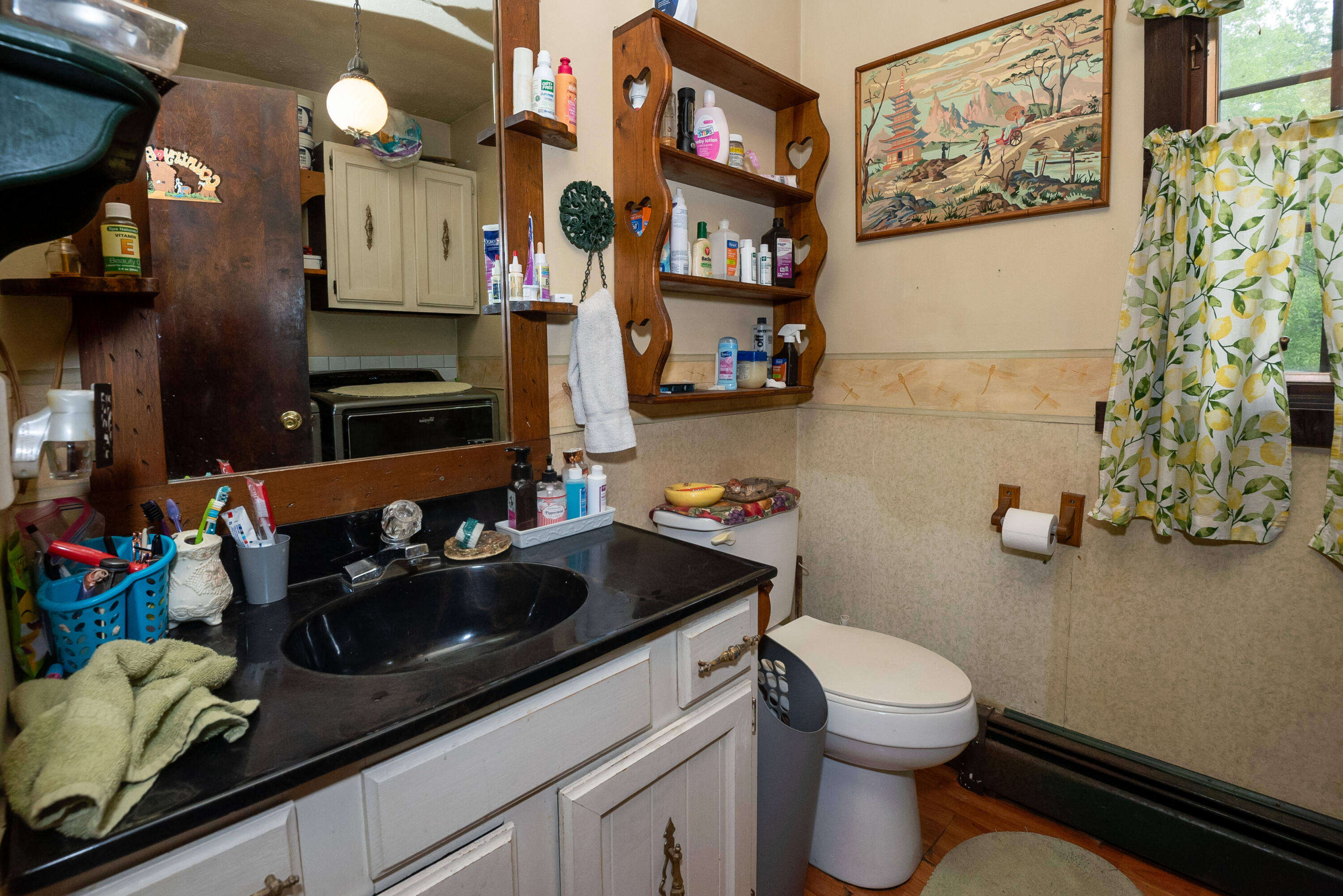 6456 Scherr Road Berrien Springs, MI 49103 - Photo 25 of 38 1/2 Bath