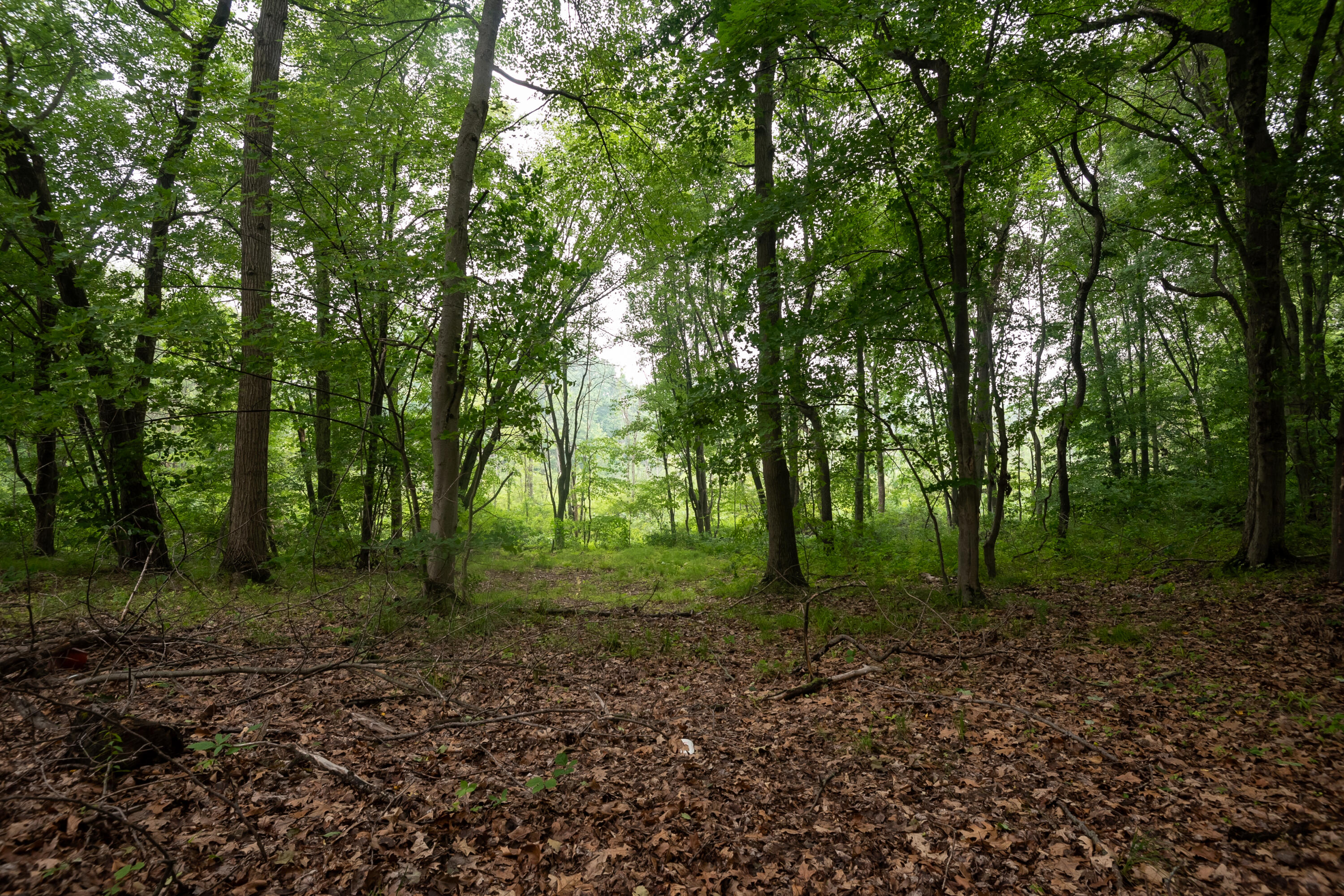 6456 Scherr Road Berrien Springs, MI 49103 - Photo 6 of 38 Site