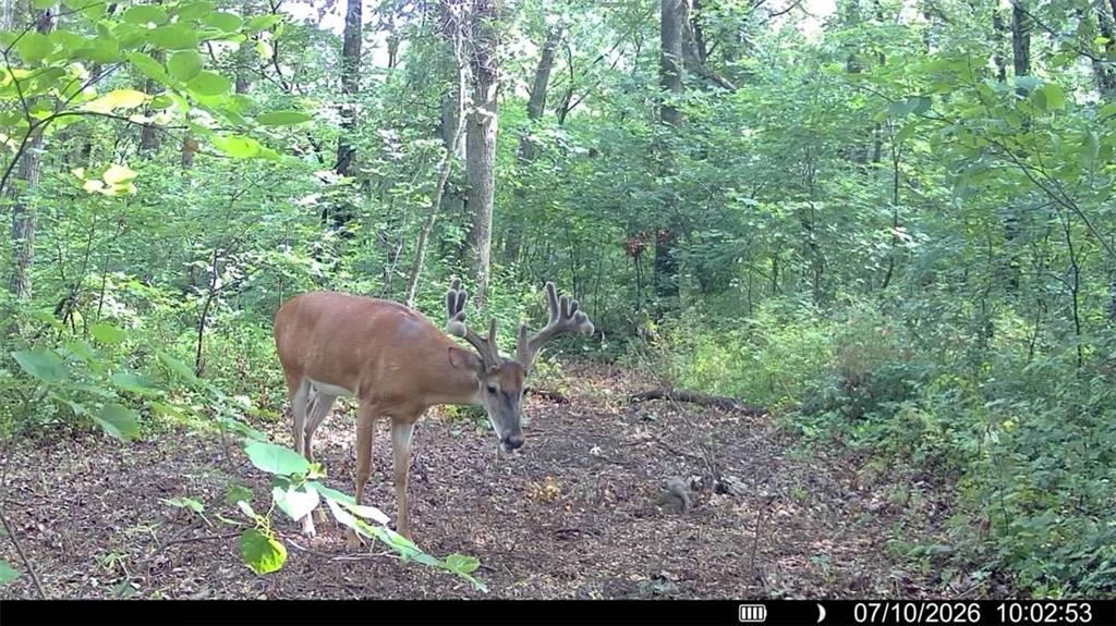 2163 East 500 Road Lecompton, KS 66050 - Photo 72 of 98