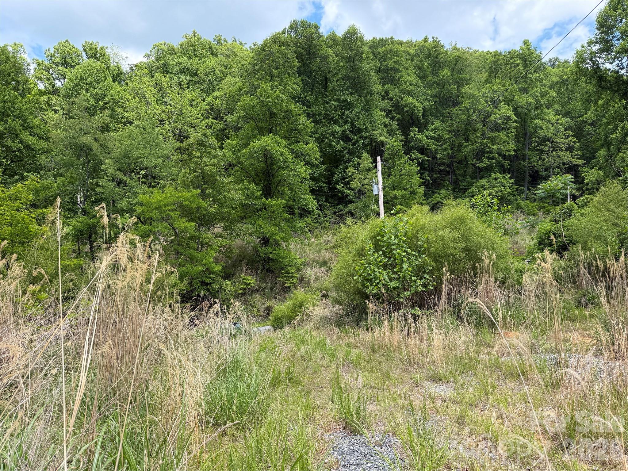 408 Arvil Gosnell Road Marshall, NC 28753 - Photo 6 of 31 a view of a lush green forest with lots of trees
