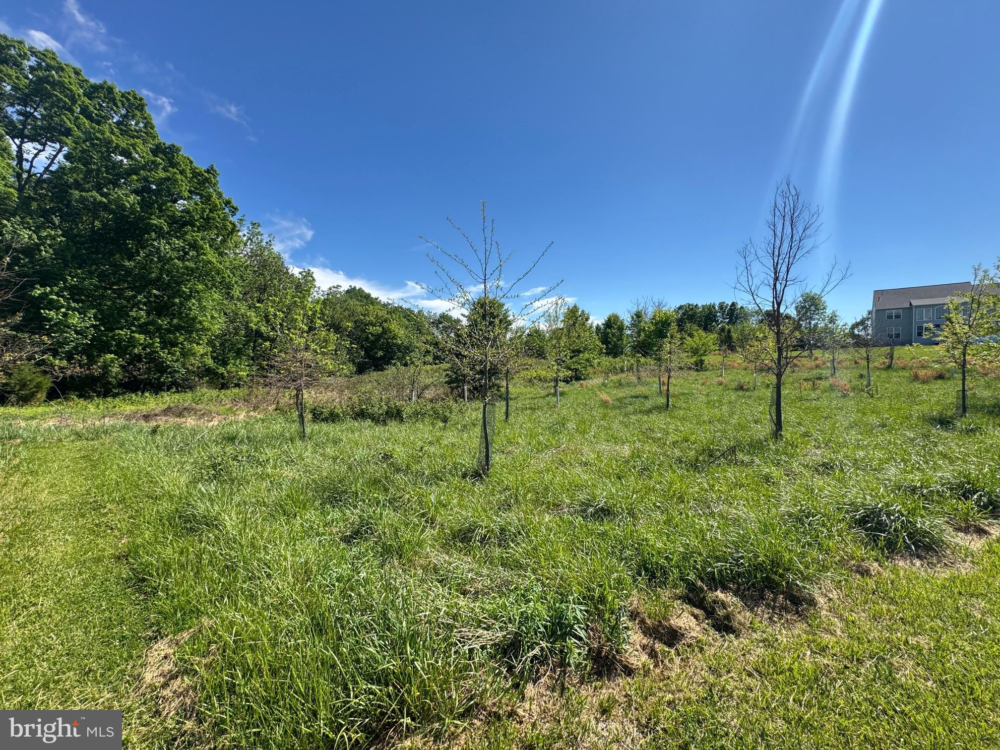15491 Barnesville Road Boyds, MD 20841 - Photo 8 of 18 a view of a garden with a tree