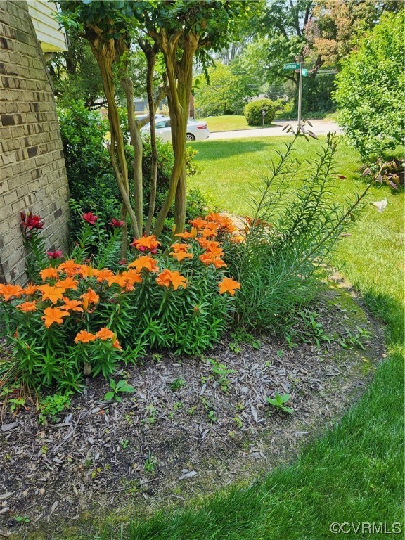 2907 Rudolph Road Henrico, VA 23294 - Photo 6 of 40 Gallery Image 6