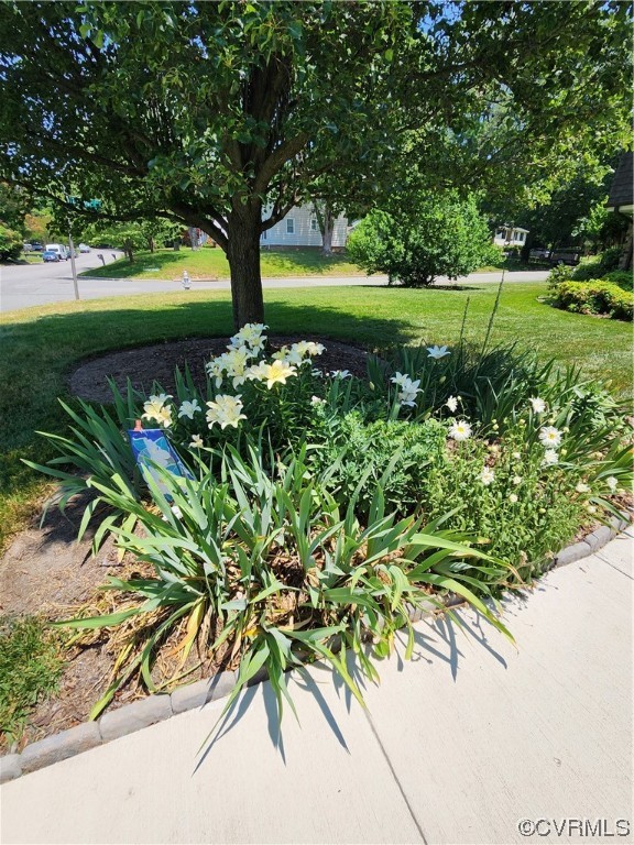 2907 Rudolph Road Henrico, VA 23294 - Photo 8 of 40 Gallery Image 8