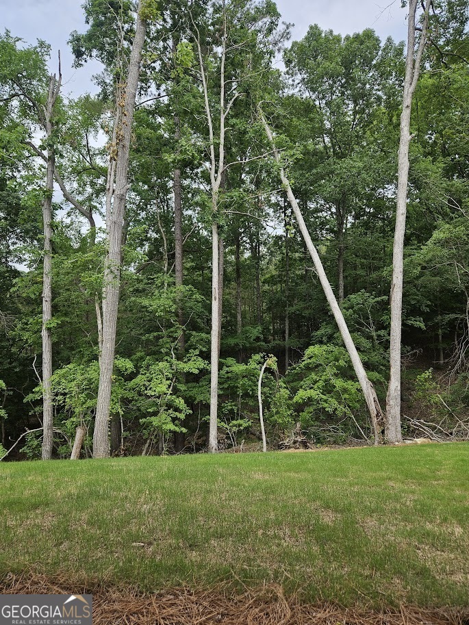 149 Silvercrest Drive, Unit 58 Acworth, GA 30101 - Photo 48 of 49