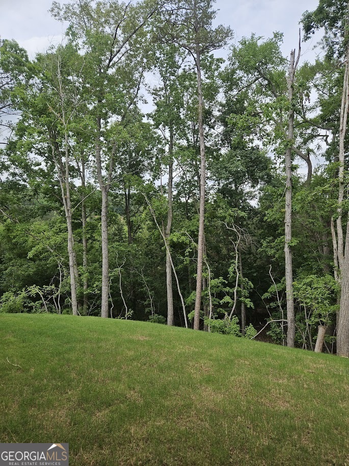 149 Silvercrest Drive, Unit 58 Acworth, GA 30101 - Photo 49 of 49