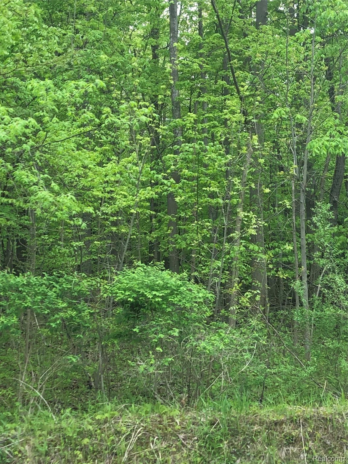 66591 Campground Road Washington, MI 48095 - Photo 2 of 11 IMG_3943.jpeg