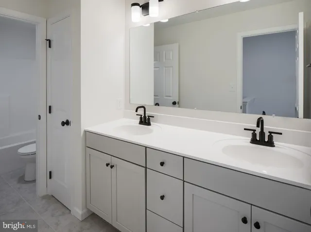 a bathroom with a sink and a toilet