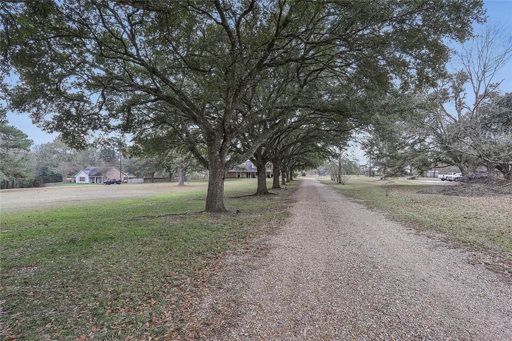 7940 Highway 63 Clinton, LA 70722 - Photo 22 of 23