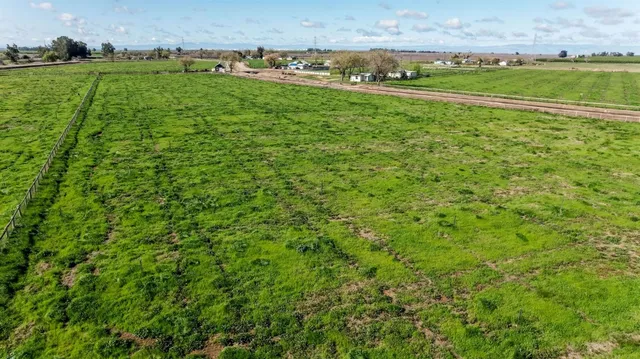 a view of a lush green field