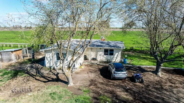 a view of a patio with table and chairs potted plants and large tree