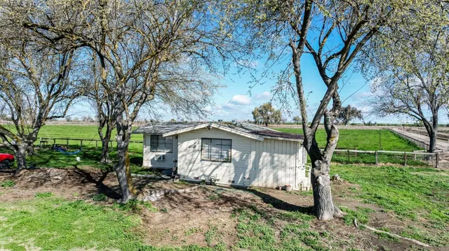 a view of backyard with a barn and a large tree