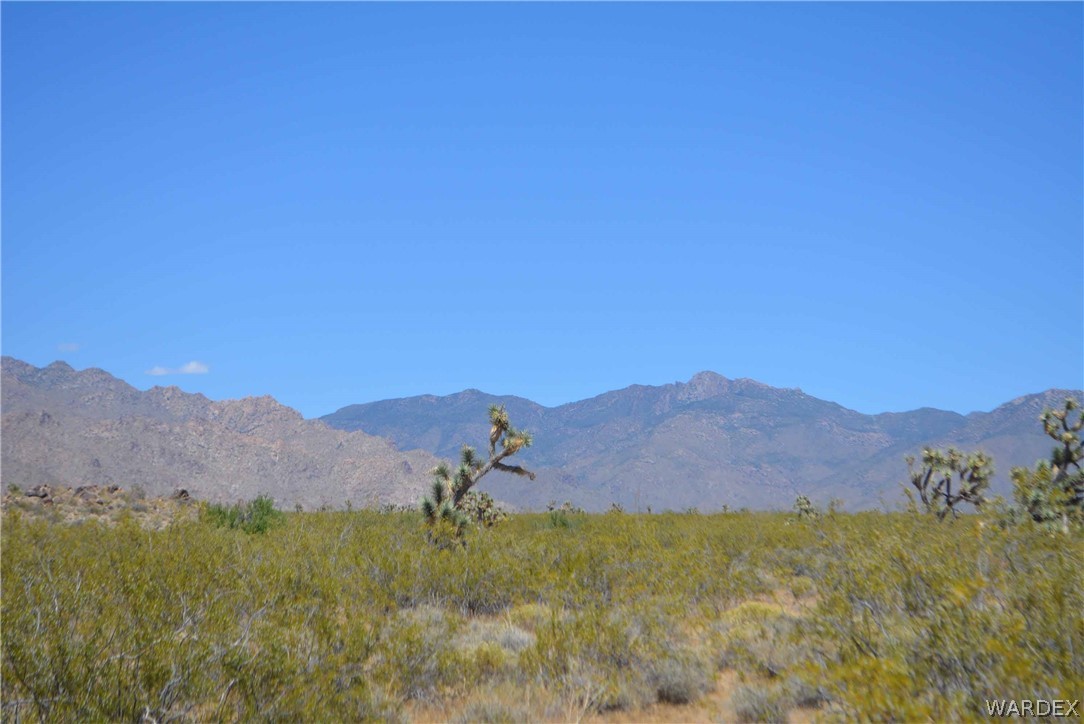 B2-15 Duquesne Road Yucca, AZ 86438 - Photo 8 of 71 Gallery Image 8