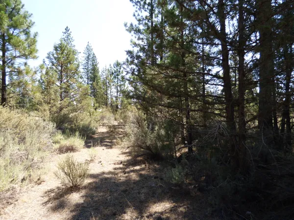 $27,500 | West Ponderosa Drive, McArthur, CA 96056