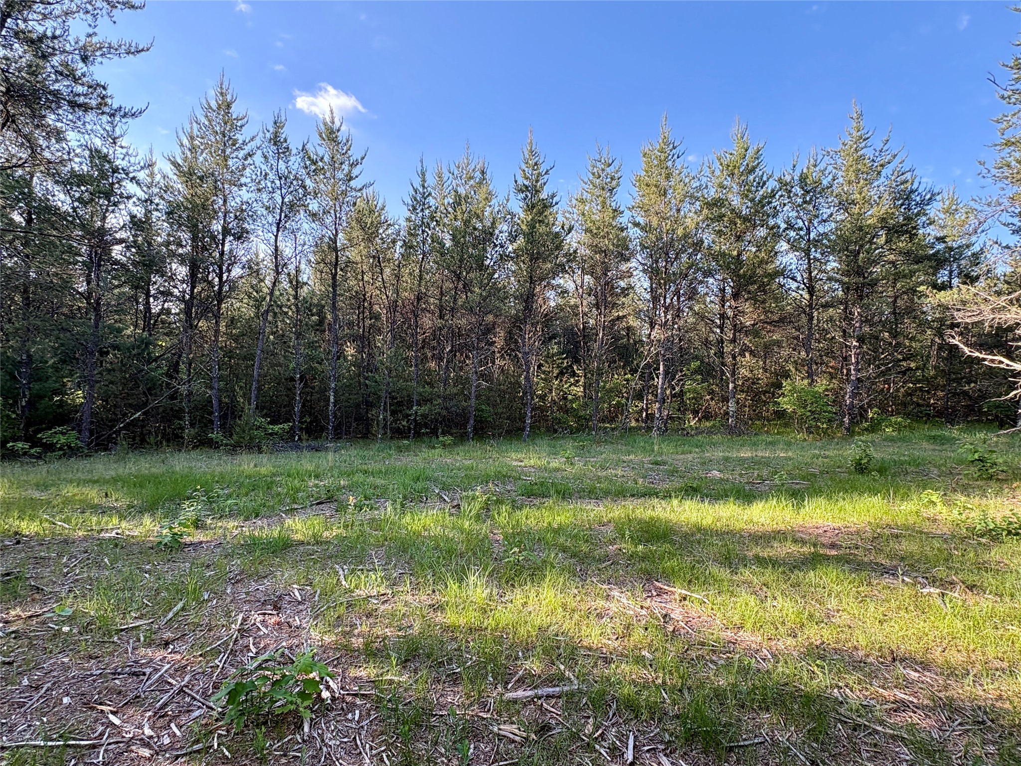 0 Cty Road Augusta, WI 54722 - Photo 23 of 53
