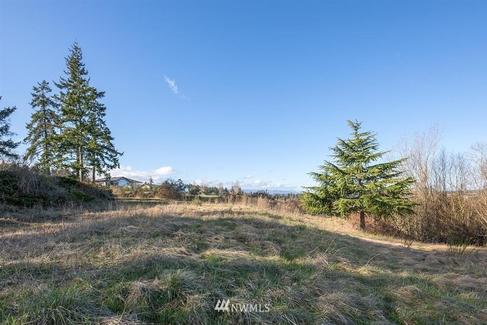463 Miller Road Sequim, WA 98382 - Photo 11 of 27 Gallery Image 11