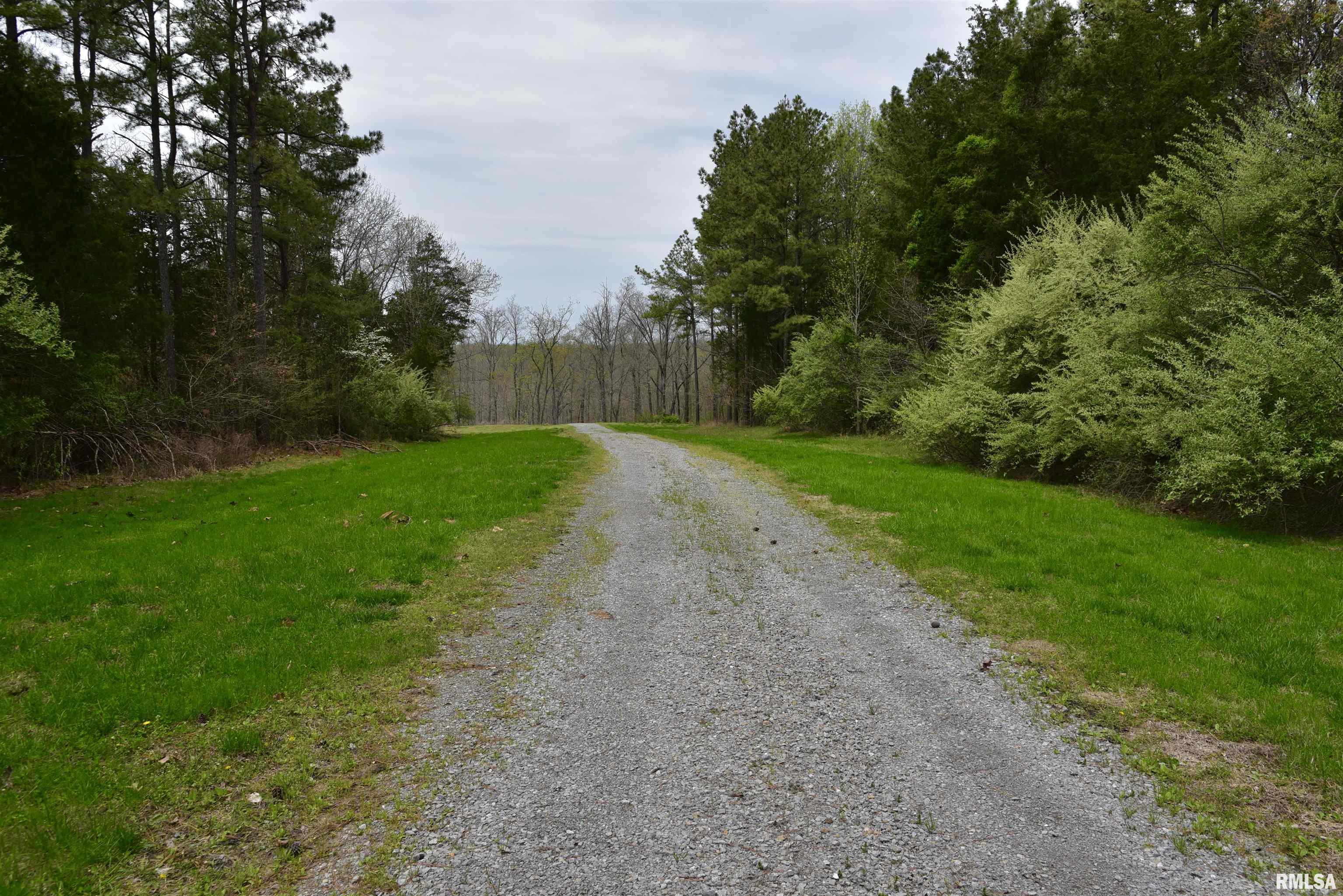 0 Parrish Ridge Lane Goreville, IL 62939 - Photo 3 of 26