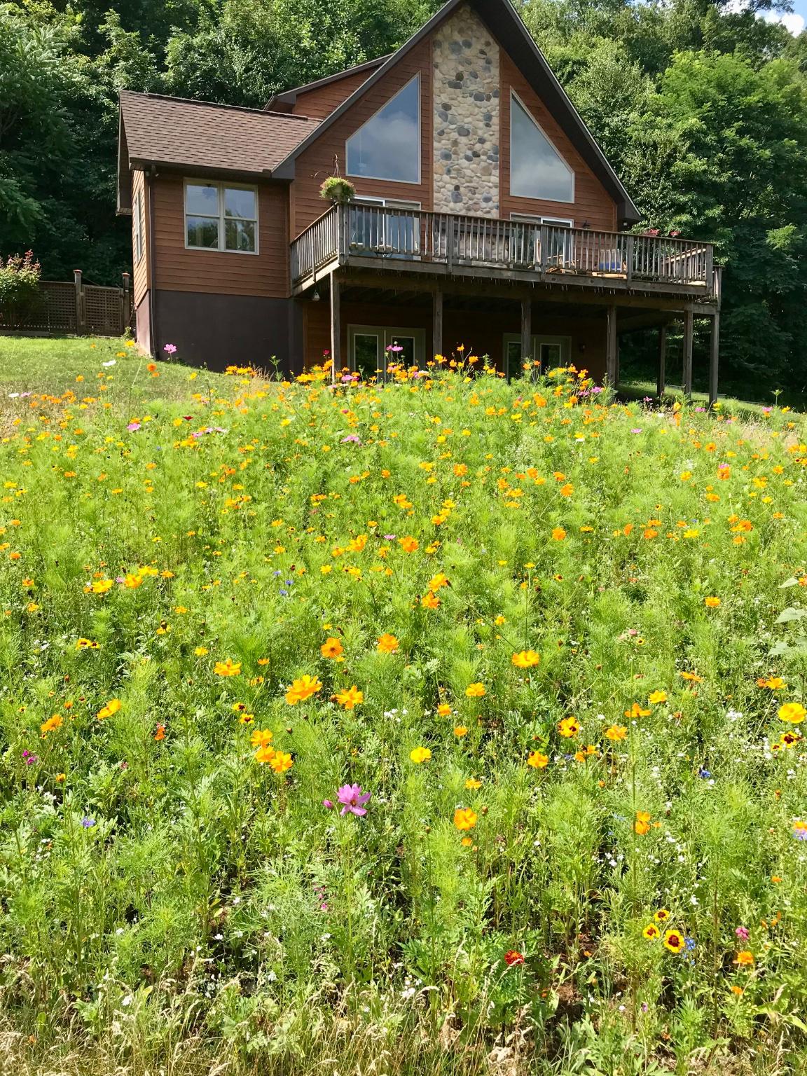 2411 Quaker Run Road Syria, VA 22743 - Photo 55 of 56 Vbrant wildflowers blooming in front yard