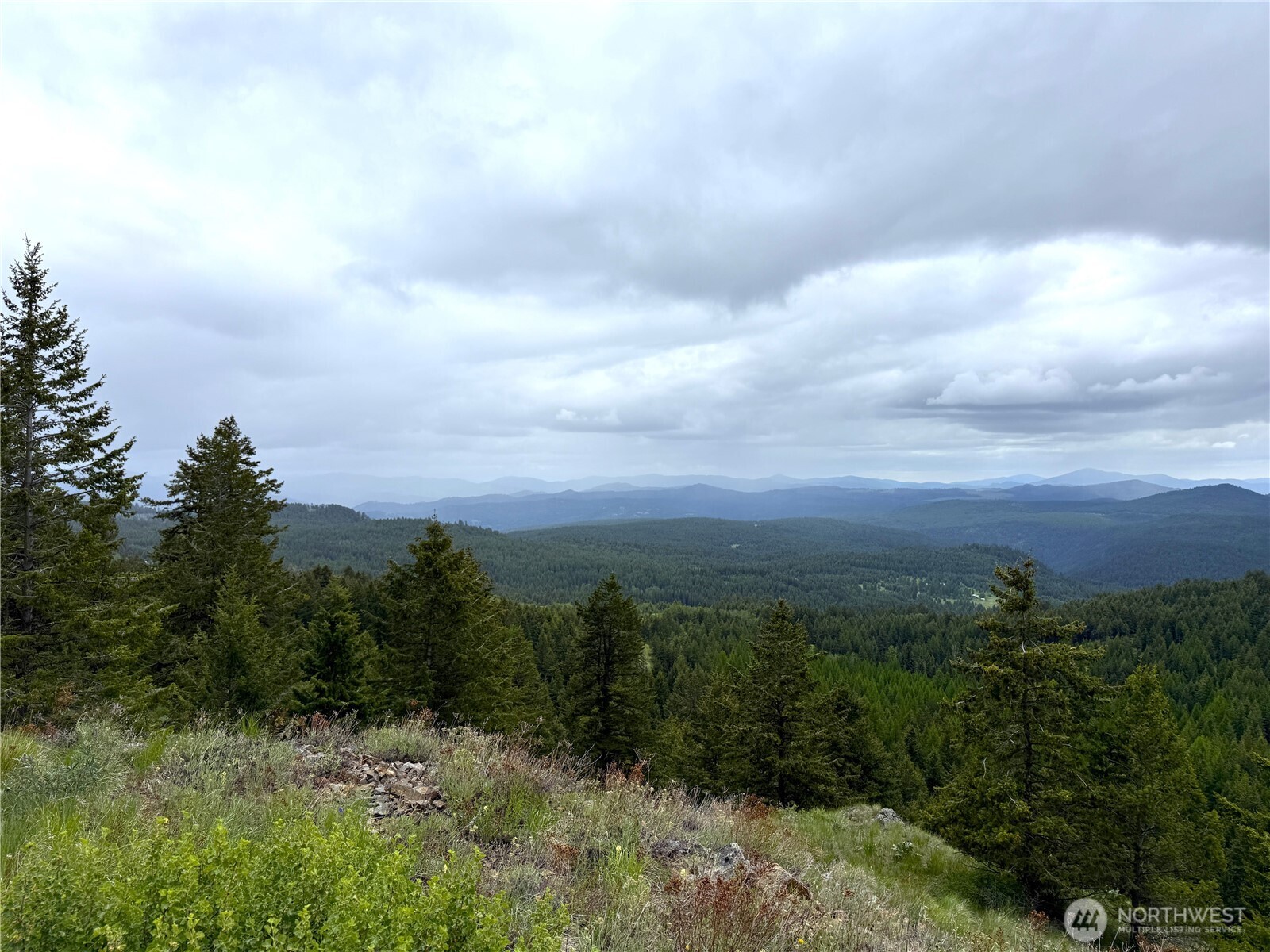 0 Pontiac Ridge Road Oroville, WA 98844 - Photo 14 of 21