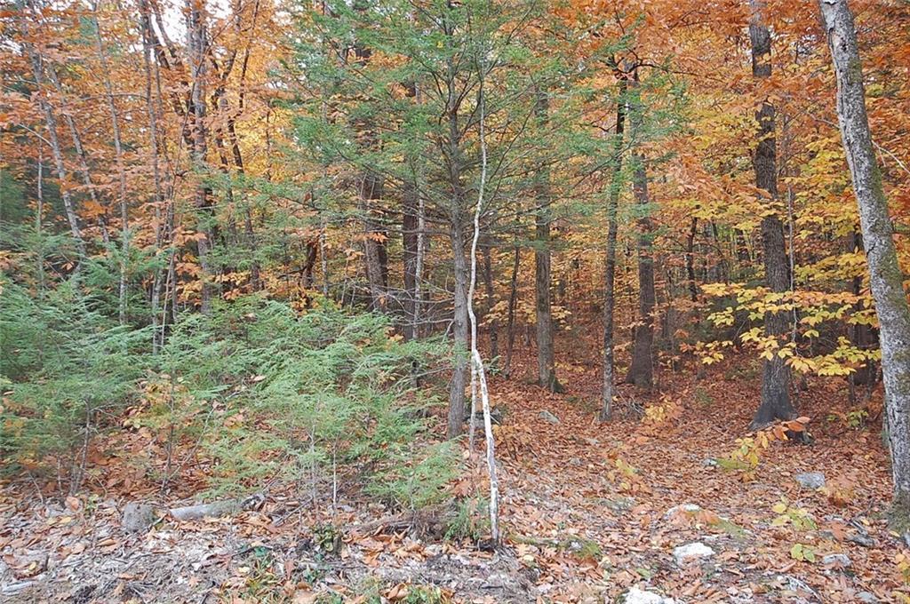 0 Candlewyck Road Windham, ME 04062 - Photo 5 of 8 Photo