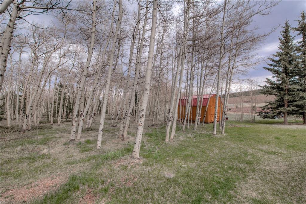 197 Warm Springs Road Fairplay, CO 80440 - Photo 30 of 31 Gallery Image 30