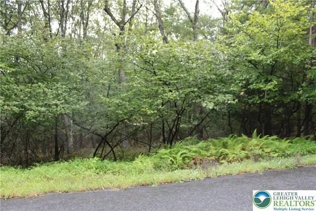 a view of backyard with green space