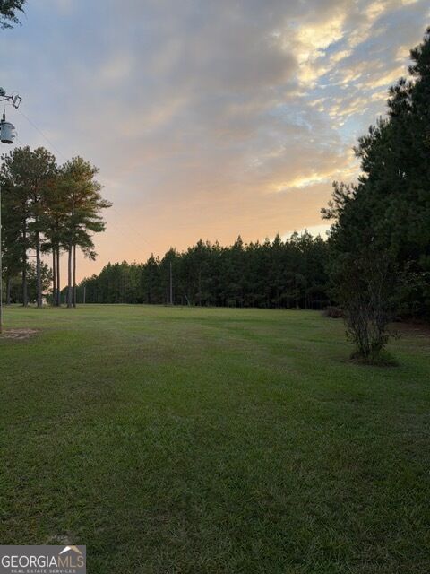 537 McDonald Road Sylvania, GA 30467 - Photo 23 of 32 Gallery Image 23
