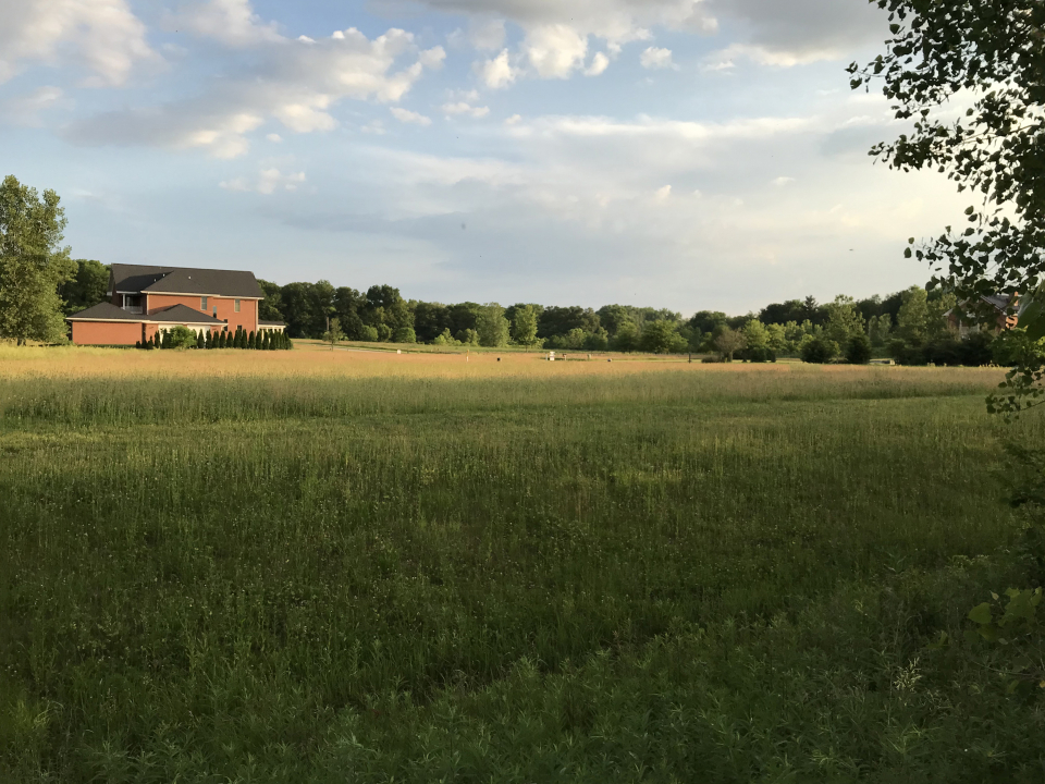 a view of a lake with a big yard