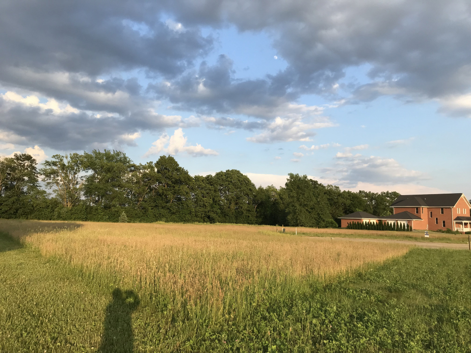 3008 Brickhouses Road Urbana, IL 61802 - Photo 4 of 13