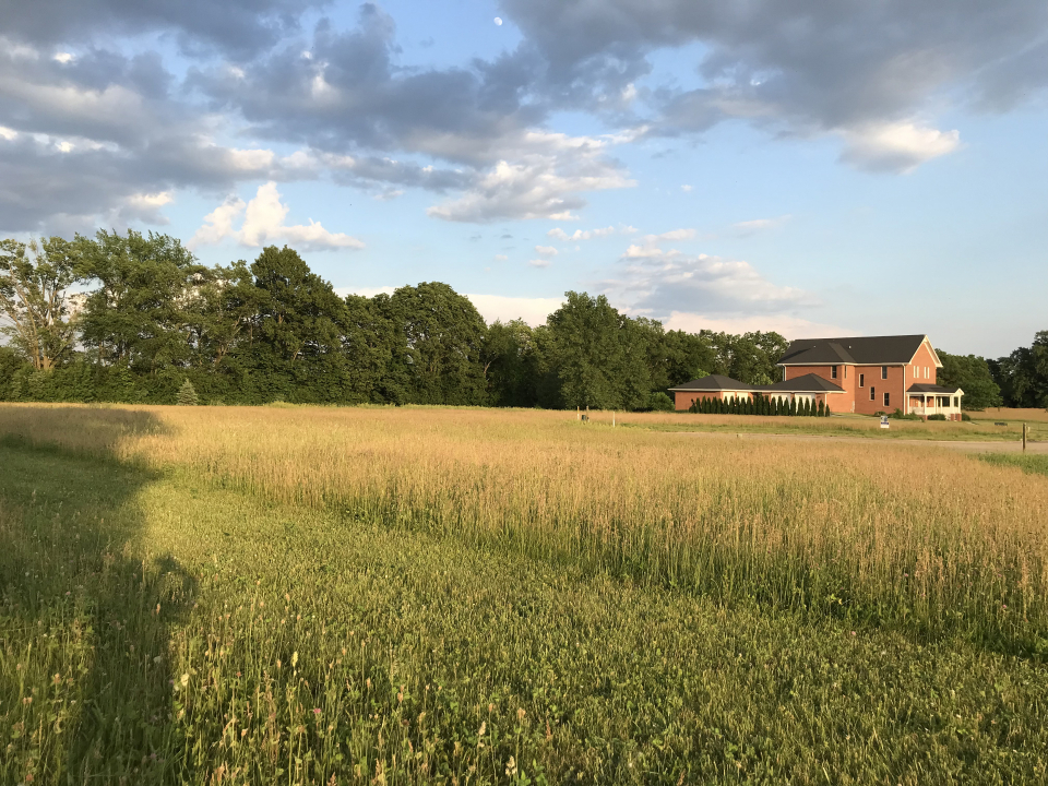 3008 Brickhouses Road Urbana, IL 61802 - Photo 5 of 13