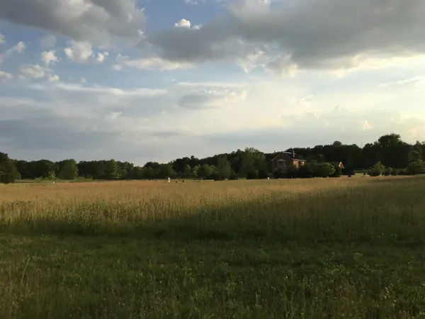 a view of a lake