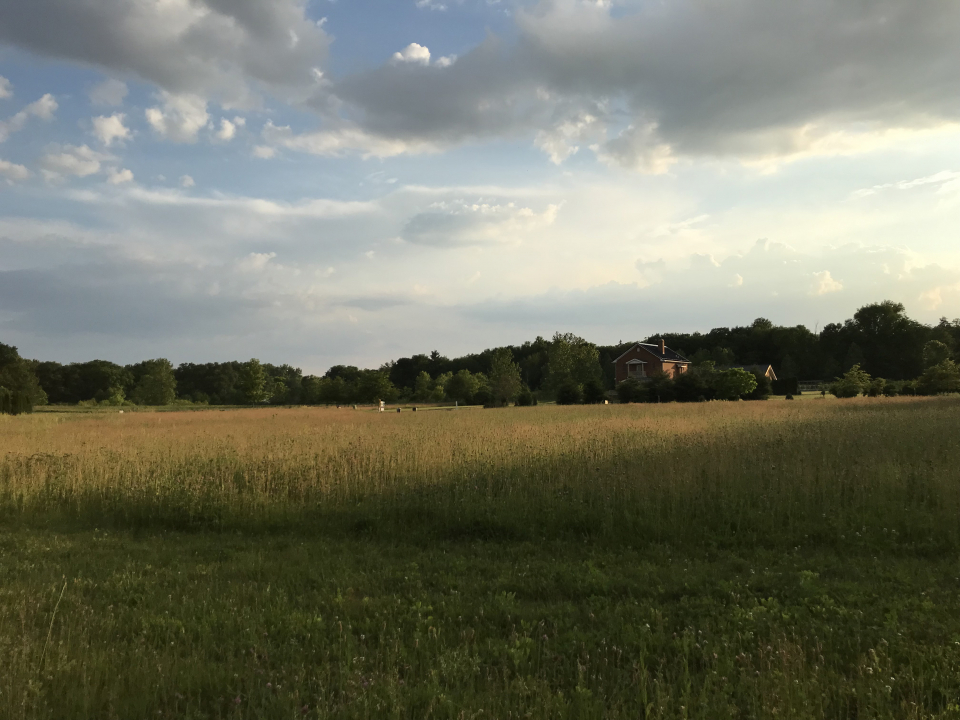 3008 Brickhouses Road Urbana, IL 61802 - Photo 6 of 13 a view of lake