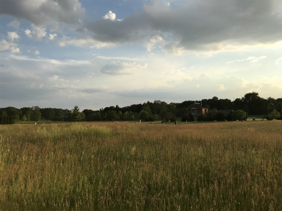 3008 Brickhouses Road Urbana, IL 61802 - Photo 7 of 13 a view of lake with mountain