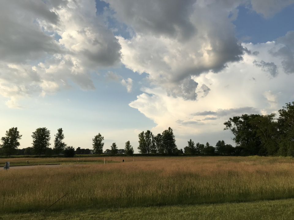 3008 Brickhouses Road Urbana, IL 61802 - Photo 8 of 13 a view of lake and mountain