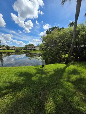a view of a swimming pool with a yard and plants