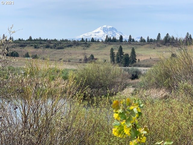 Newton Road, Unit 4 Centerville, WA 98613 - Photo 13 of 18 Gallery Image 13