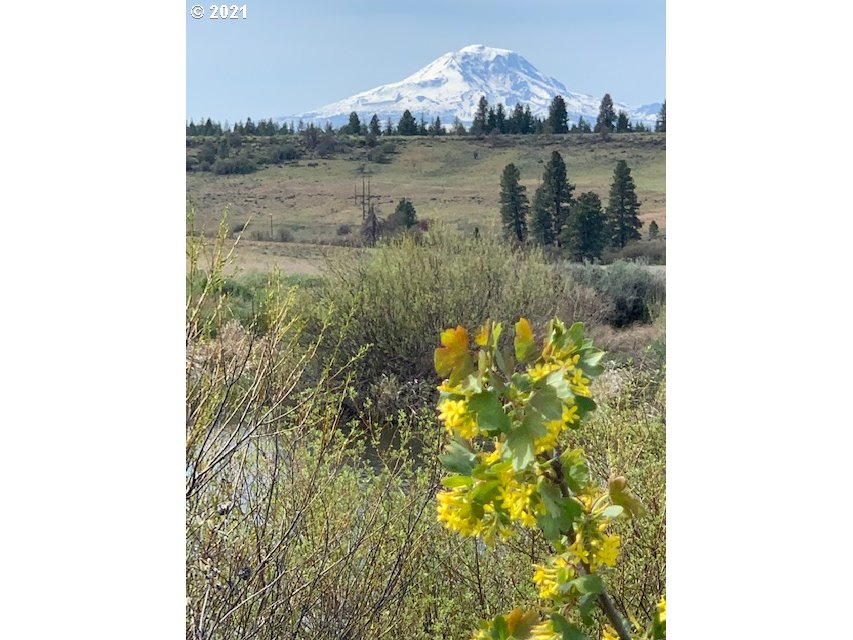 Newton Road, Unit 4 Centerville, WA 98613 - Photo 18 of 18 Gallery Image 18