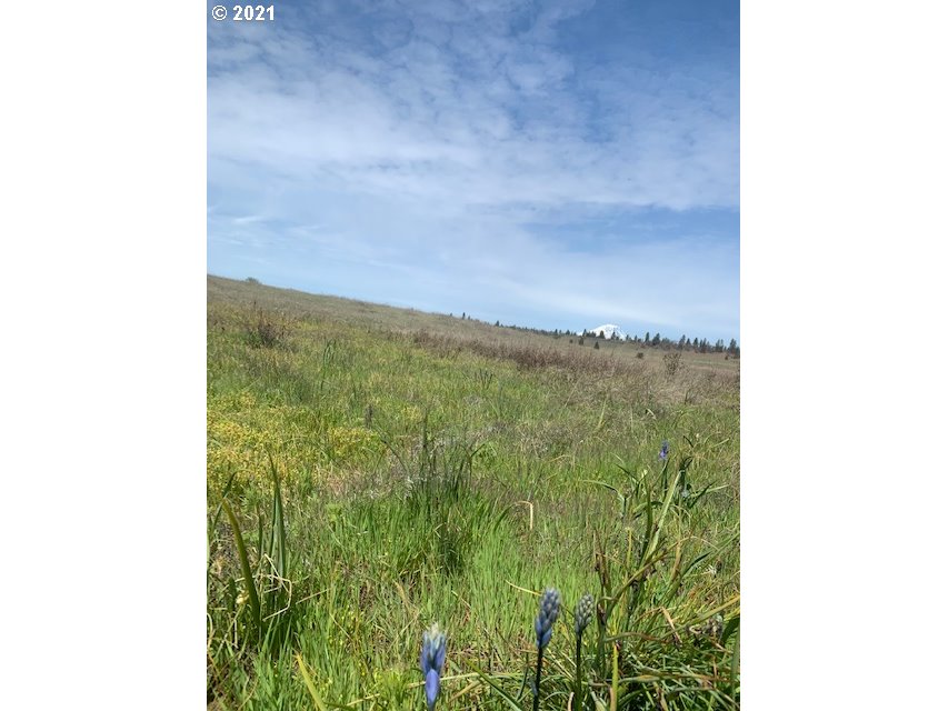 Newton Road, Unit 4 Centerville, WA 98613 - Photo 8 of 18 Gallery Image 8