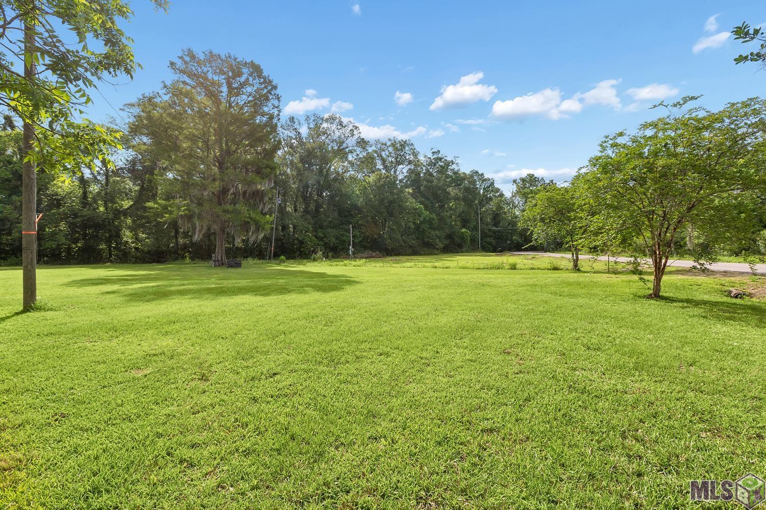 12246 Peter Bourgeois Road St. Amant, LA 70774 - Photo 7 of 21